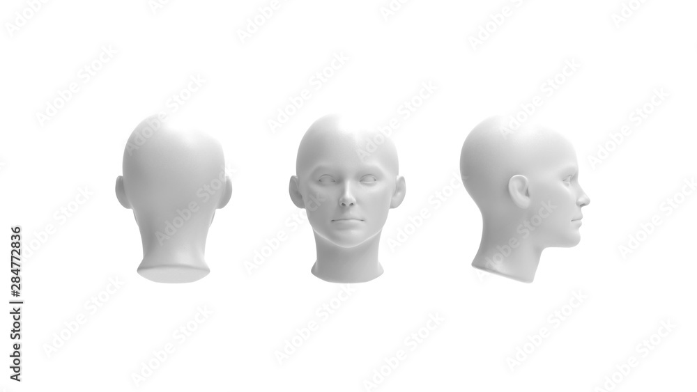 3d rendering of a human model isolated in white background - obrazy, fototapety, plakaty 