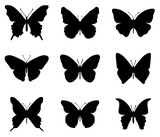 Fototapeta Pokój dzieciecy - Butterflies silhouettes set.