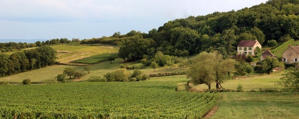 Wall Mural - Côte Chalonnaise à Givry en Bourgogne.