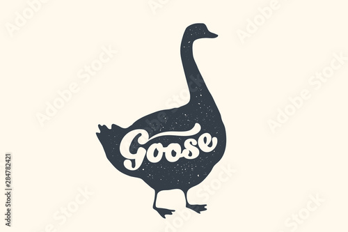 Cuadros en Lienzo Farm animals set. Isolated goose silhouette and text Goose
