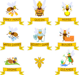 Wall Mural - Set of different cartoon bee social castes with titles isolated on white background