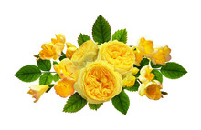 Yellow Rose Flowers And Freesias In A Floral Composition