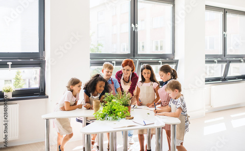 Fotomural A group of small school kids with teacher standing in circle in class, planting herbs