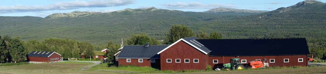 Wall Mural - Farm houses