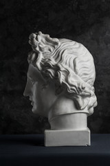 Gypsum copy of ancient statue Apollo head on dark textured background. Plaster sculpture man face.