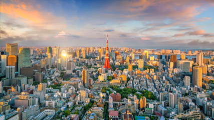 Wall Mural - Panorama view of Tokyo city skyline and Tokyo Tower building in Japan