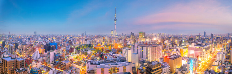 Wall Mural - View of Tokyo skyline at sunset