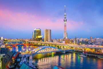 Wall Mural - View of Tokyo skyline at sunset