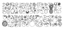Hand Drawn Vector Illustration - Collection Of Tropical And Exotic Fruits. Healthy Food Elements. Apple, Orange, Papaya, Coconut, Mango, Pear Etc. Perfect For Menu, Packing, Advertising, Cooking Book.