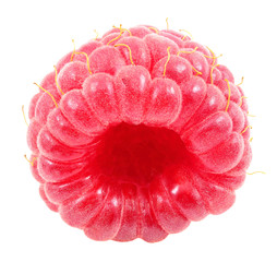 Raspberry one berry whole isolated on white background with clipping path. Full depth of field.