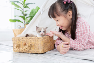 Little girl playing with cat in the wooden basket at home,friendship concept.