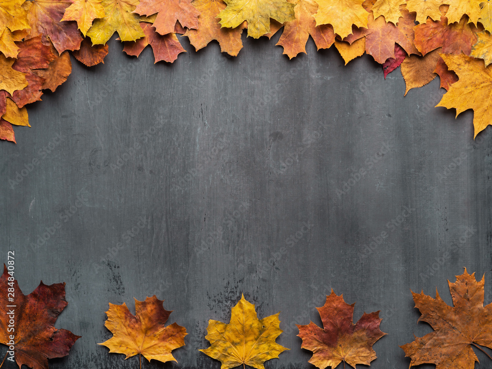 Seasonal autumn background. Frame of colorful maple leaves. - obrazy, fototapety, plakaty 