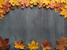 Seasonal Autumn Background. Frame Of Colorful Maple Leaves.