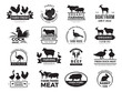Farm animals. Business logo with domestic animals cow chicken goat healthy food symbols vector farm collection. Cow silhouette, chicken and sheep meat illustration
