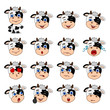 Big set of heads with expressions of emotions of funny cow in cartoon style isolated on white background