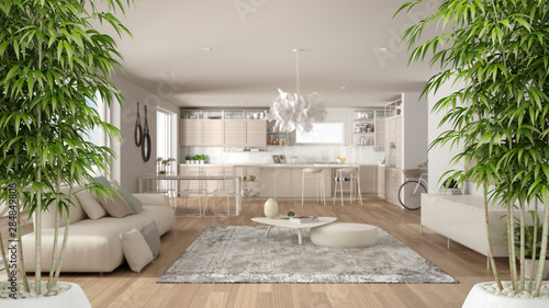 Cuadros en Lienzo Zen interior with potted bamboo plant, natural interior design concept, minimali