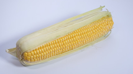 Wall Mural - ear of corn on a white background