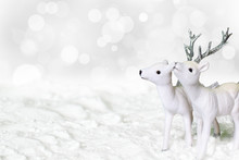 White Reindeer And Roe Deer Standing In The Snow.
