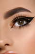 close-up of luxury woman eye with black eyeliner