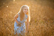 © Kira - A little blonde girl is standing in a wheat field in summer with spikelets in her hands.