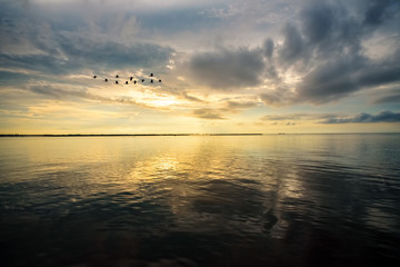 Wall Mural - Birds flying during the sunrise over Songkhla Lake, Thailand