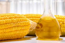 Biofuel From Corn, Oil And Biofuel Solution.