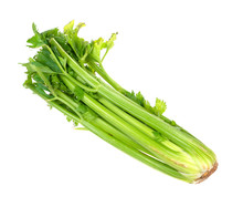 Fresh Green Celery Stalk Cutout On White