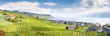 The Lavaux Vineyard Terraces, Stretching For About 30 Km Along The South-facing Northern Shores Of Lake Geneva From The Chateau De Chillon To The Eastern Outskirts Of Lausanne In The Vaud Region.