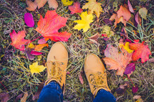 Casual Unisex Boots With Colorful Autumn Fallen Leaves