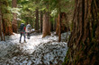© Tandem Stock - Two people approach Mount Rainier on a forest trail, Mount Rainier National Park, Washington, USA