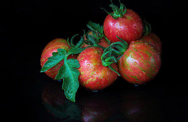 Colorful fresh striped tomatoes. Organic farm product, black background. Texture, close-up, drops of water.