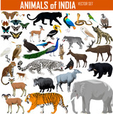Fototapeta Pokój dzieciecy - Vector set of animals of India