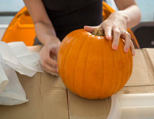 Process of carving pumpkin to make Jack-o-lantern. Creating traditional decoration for Halloween and Thanksgiving. Cutted orange pumpkin lay on table in woman hands.