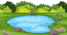 Landscape Background With Small Pond In Park