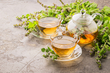 Tea with fresh leaves of lemon mint cup and teapot gray background. Healing herbal drink. Horizontal frame.