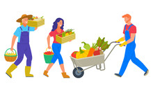 People Harvesting On Farm Vector, Isolated Man And Woman Carrying Pire Vegetables. Character With Cart Transporting Pumpkins And Carrots Beetroots