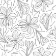 Vector seamless pattern with  hand drawn  saffron spice.