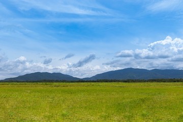 Wall Mural - Landscape of sunny green grass field and mountain under the summer blue sky.