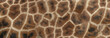 Giraffe skin Texture - Image 1