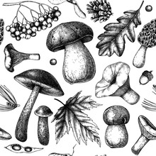 Autumn Forest Seamless Pattern. Vector Background With Mushrooms, Conifers, Leaves, Berries Sketches. Vintage Fall Season Design. Trendy Collage Elements