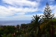 © Mariusz - Panoramic view on the Funchal city - Madeira Island, Portugal.