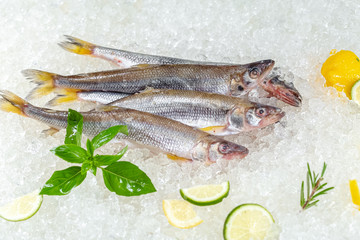 fresh red whole fish, lies on ice, headless, with green basil, light