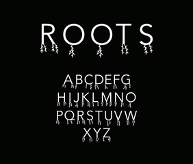 Roots hand drawn vector font minimalism modern style alphabet