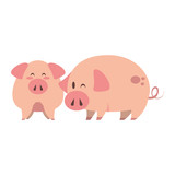Fototapeta  - cute animals pigs farm cartoon