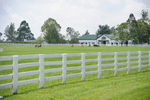 Horse Farm In Kentucky