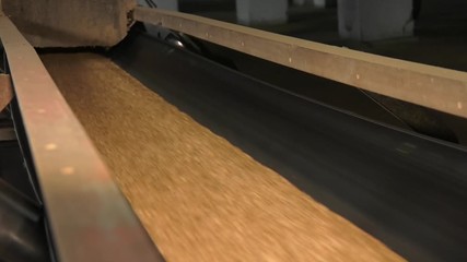 Wall Mural - A high tech stailnless steel conveyor belt, in a clean, modern food processing facility, rushes barley from storage to processing.