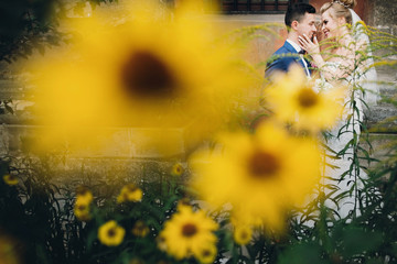 Wall Mural - Stylish bride and groom walking among yellow flowers in sunny city street. Gorgeous wedding couple of newlyweds embracing in flowers. Romantic moment
