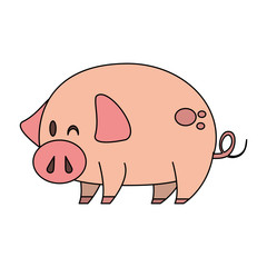 Canvas Print - cute animal pig farm cartoon