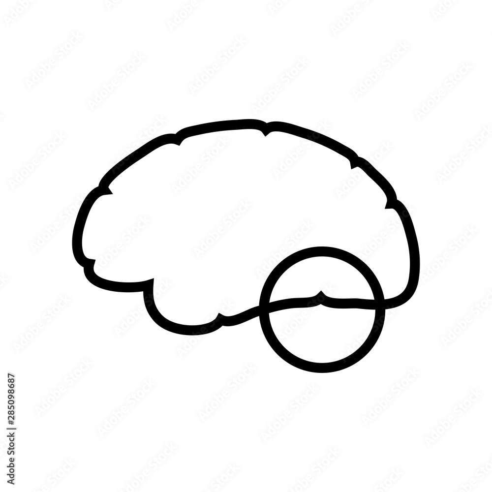 Vector illustration of human brain anatomy Stock Vector | Adobe Stock