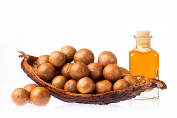 Wall Mural - Macadamia integrifolia - Nuts and macadamia oil